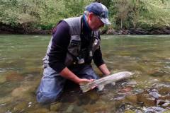 DJI_0903-frame-at-1m4s