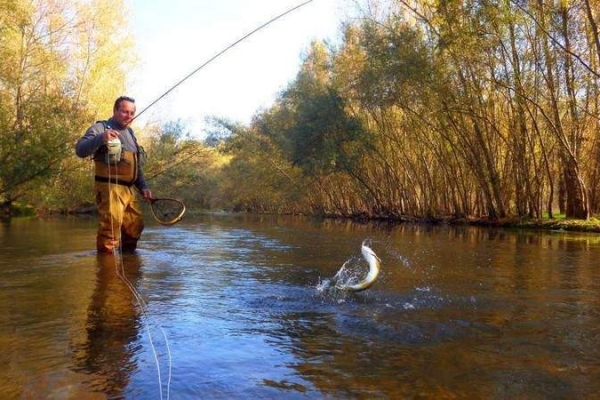 combat_jolie_truite_séjour_pêche_catalogne