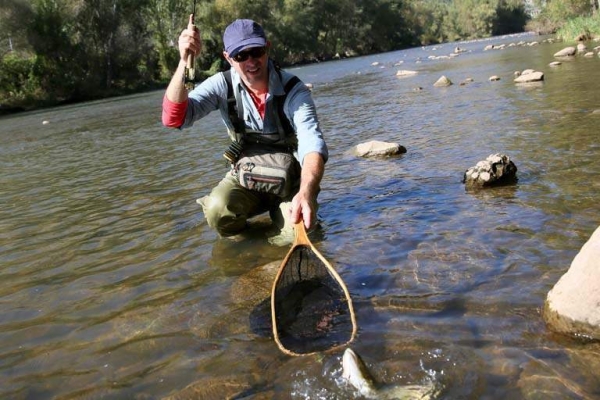 capture_truite_fario_séjour_pêche_mouche_catalogne-