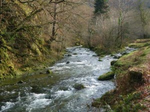 torrent de montagne