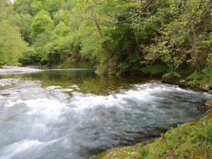 Le gave d'Aspe en vallée d'Aspe