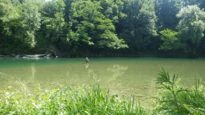 Pêcheur à la mouche sur le gave d'Oloron