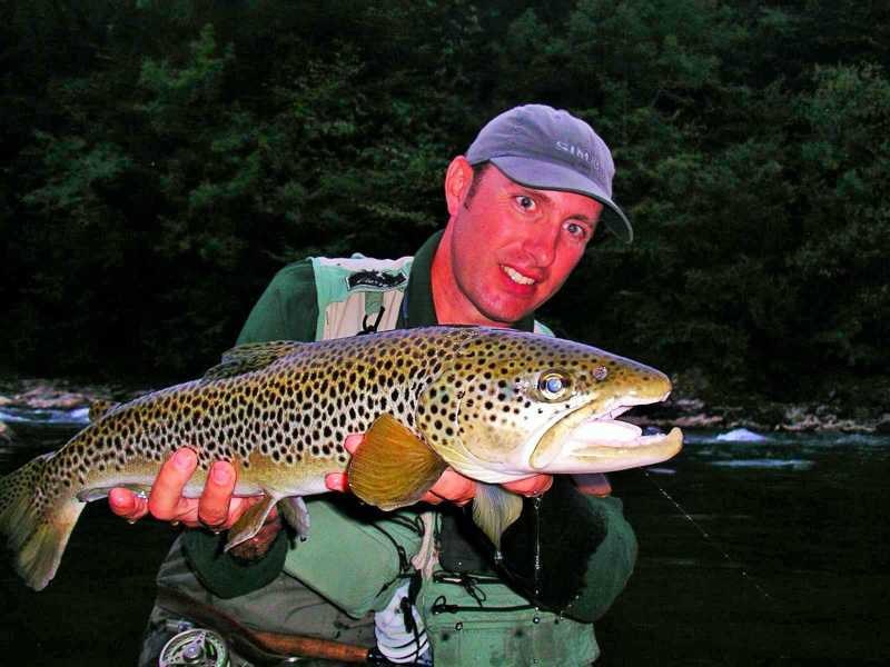 peche truite fario sauvage