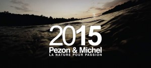 bandeau Pezon & Michel