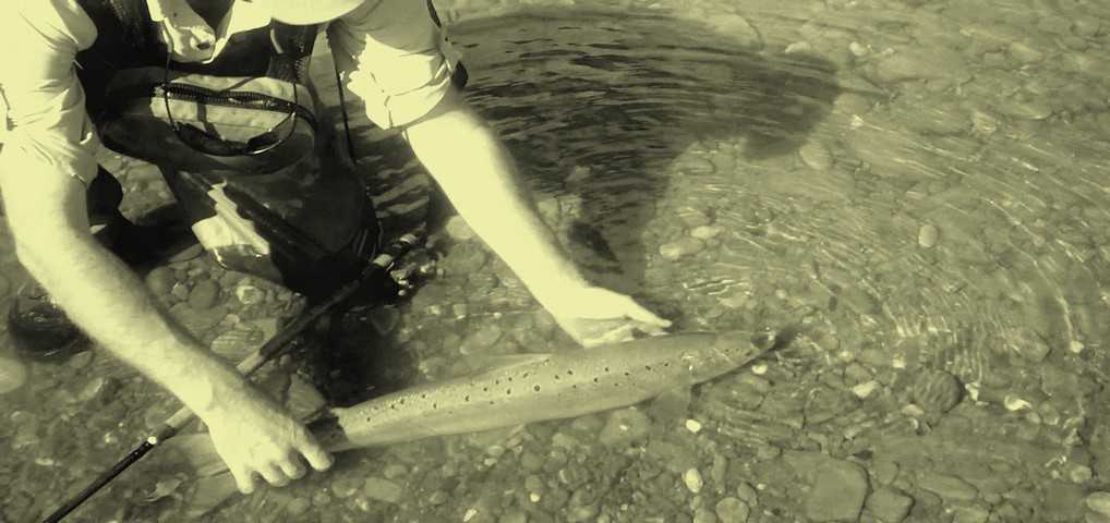 Techniques de pêche truite -  - Dingue d'eau, comme vous !