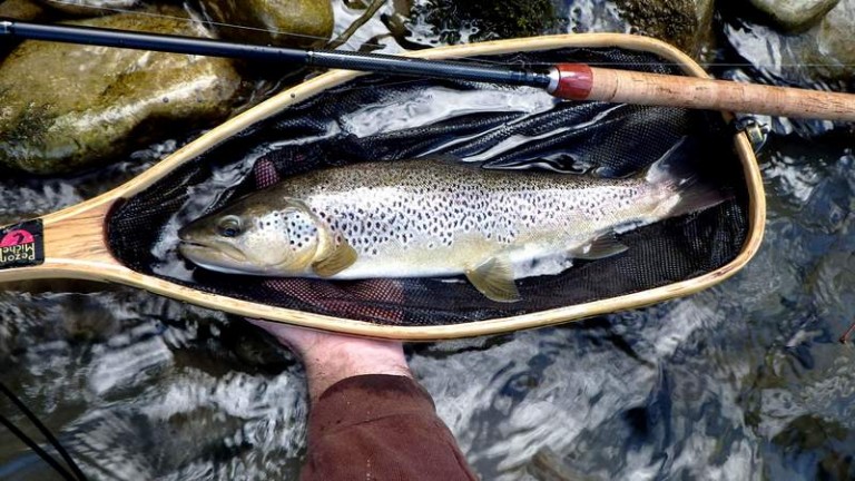 plombee peche au toc