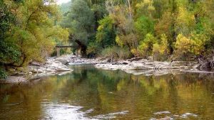 rio aragon
