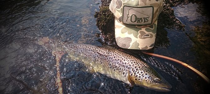 Une année de pêche à la mouche en vidéo Une année de pêche à la mouche en vidéo
