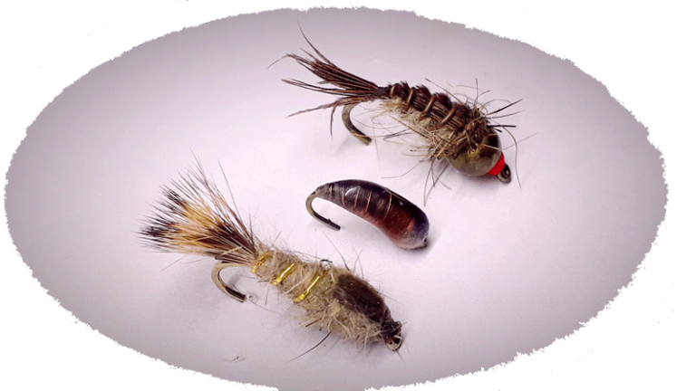 Lot De 12 Mouches Artificielles Pour Pêche Truite - Nymphes Tête Dorée (Diawl Bach, Oreilles De Lièvre)