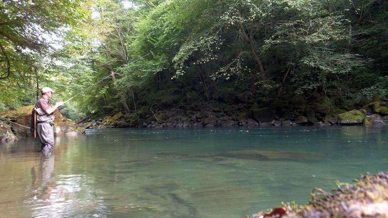 la pêche en nymphe au toc avec une plombée