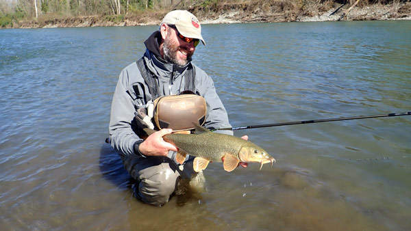 Barbeau pris avec la canne eaux vives osmose feather weight 390FT