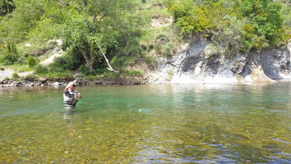 Pêcheur capturant une truite à la mouche sèche lors d'un séjour pêche à la truite en Aragon
