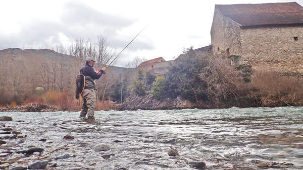 action de pêche en dérive naturelle aux appâts vivants