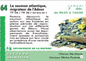 Le saumon atlantique migrateur de l'Adour. Sortie pédagogique CPIE 2019