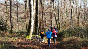 Marche d'approche en forêt sortie pédagogique