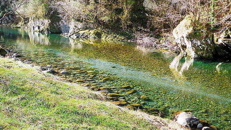 Zone de frayères sur le gave d'Aspe