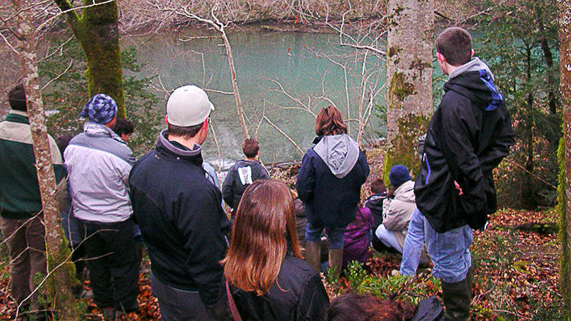 observation des frayères à truite et à saumon