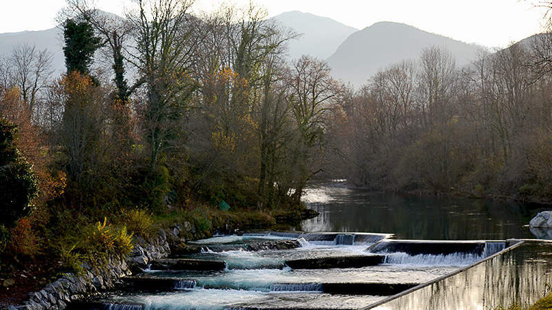 Barrage avec échelle à poissons fonctionnelle pour la montaison