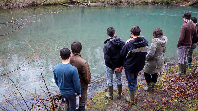 Observation des frayères à saumons par une classe