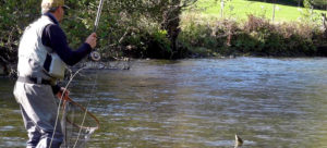 débuter à la pêche à la mouche ► Queqlues conseils pour bien apprendre