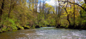 Biodiversité des rivières