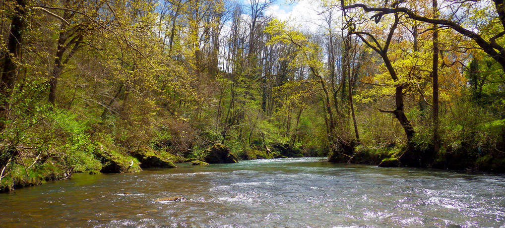 La biodiversité des rivières