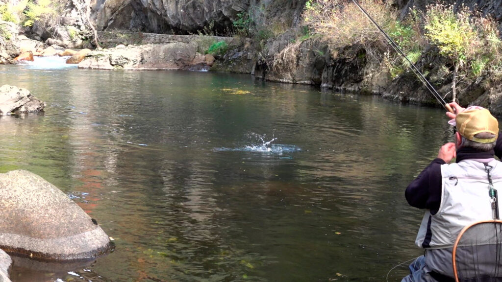 explications pour approcher la rivière et les truites à la pêche à la mouche