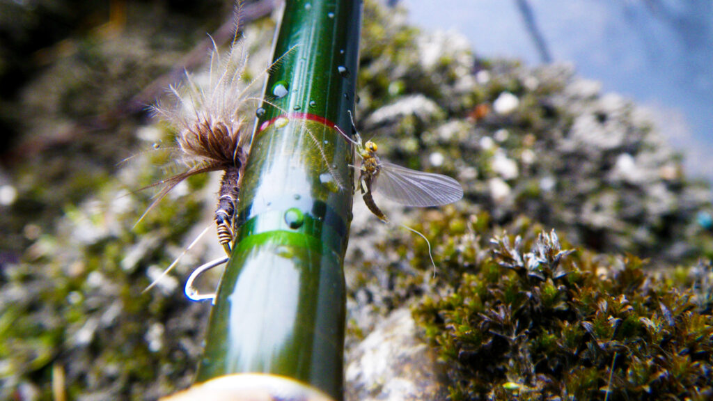 explications pour reconnaître les invertébrés et choisir sa mouche artificielle à la pêche à la mouche