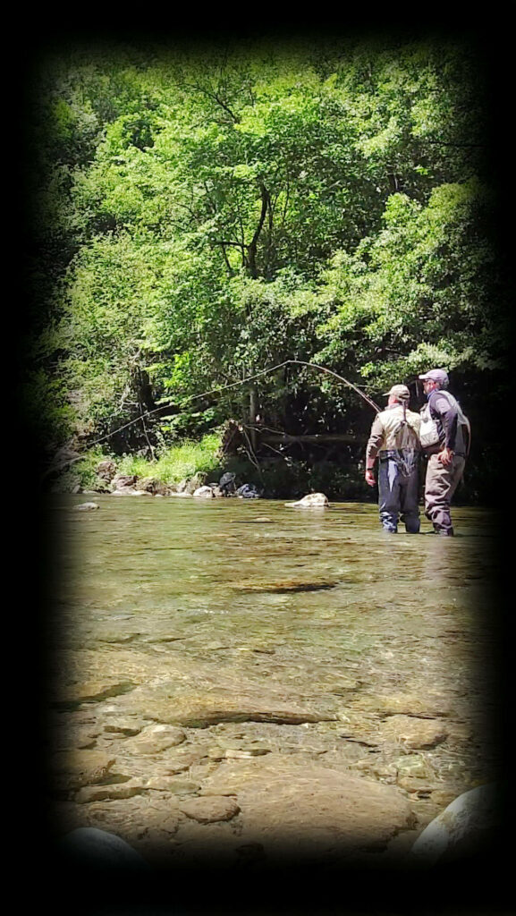 Cours de pêche à la mouche. Stage de pêche à la truite sur un gave des Pyrénées.