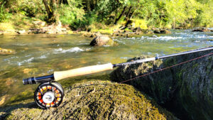 Gros plan Orvis Helios 3D 9'5 soie de 5