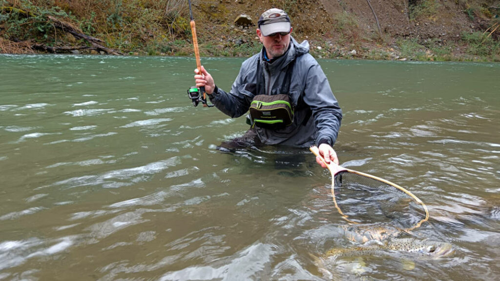 Grosse truite prise au toc à l'ouverture