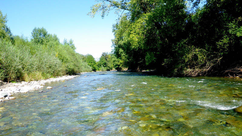 Postes pour pêcher la truite en été : la bordure ombragée exemple 1