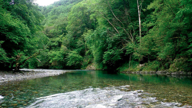 Postes pour pêcher la truite en été : la fosse exemple 1