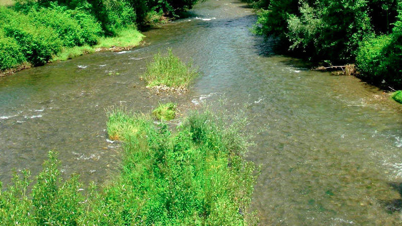 Postes pour pêcher la truite en été : le poste en Y exemple 2