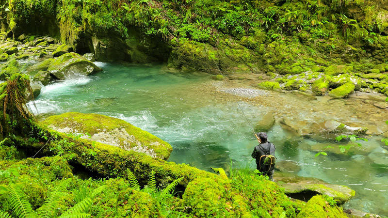 Guidage de pêche au toc en torrent de montagne -Pyrénées-Atlantiques