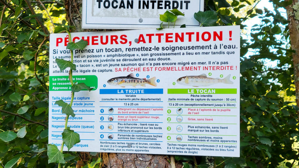 panneau informationnel détaillant les différences entre une truite fario et un tacon